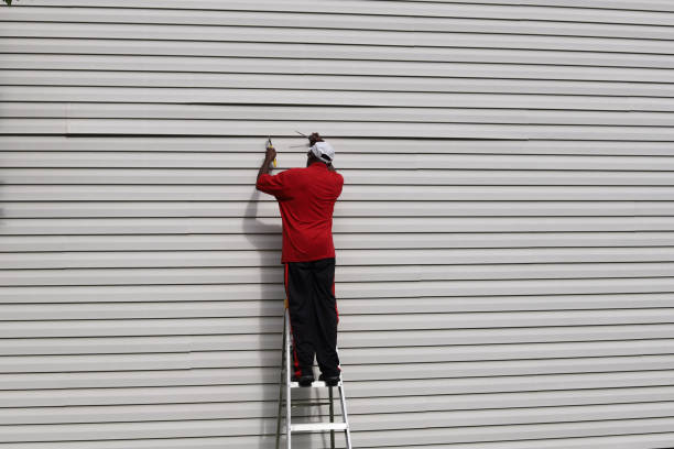 Best Shed Removal  in Westwood, KY