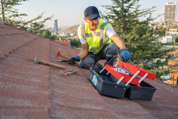 Best Carpet Removal and Disposal  in Westwood, KY